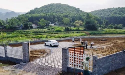 lô đất có diện tích 2800m2 trong đó có 400m2 thổ cư 1575m2 là đất cây lâu năm còn lại là đất nuôi trồng thuỷ sản