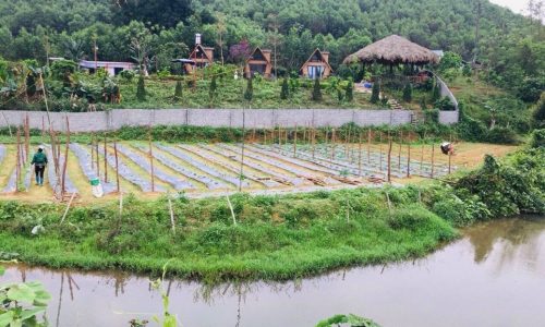 Bán gấp resort mini có tổng diện tích đất lên đến 4846m2 trong đó có 250m2 đất thổ cư còn lại là đất cây lâu năm