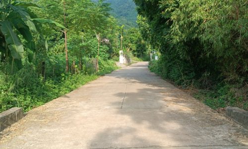 Chủ tách bán gấp lô đất có diện tích 3785m2 trong đó có 2793m2 thổ cư còn lại là đất trồng câu lâu năm