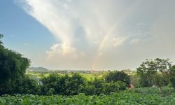 BÁN GẤP LÔ ĐẤT CÓ DT 120m2 FULL THỔ CƯ VIEW ĐẸP MẶT TIỀN 14m GIÁ CHỈ 1,x TỶ