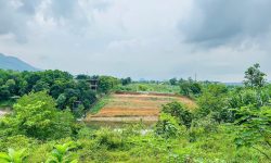 SIÊU PHẨM BÁM HỒ CỰC ĐẸP CÓ DT 2000m2 (200m2 ONT) XUNG QUANH TOÀN NGHỈ DƯỠNG