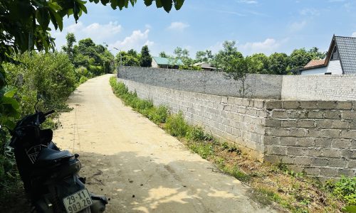 siêu phẩm bám hồ có diện tích 481,3m2 trong đó có 50m2 thổ cư còn lại là đất vườn