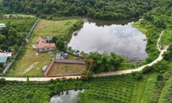 BÁN GẤP LÔ ĐẤT BÁM HỒ CÓ DT 481m2 ( 50m2 ONT) VIEW ĐẸP GIÁ RẺ CHỈ 1,x TỶ