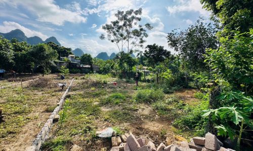 BÁN GẤP LÔ ĐẤT CÓ DT 200m2 FULL THỔ CƯ MẶT TIỀN 10m GIÁ CHỈ VÀI TRĂM TRIỆU