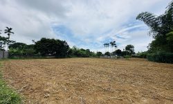 BÁN GẤP LÔ ĐẤT CÓ DT 2000m2 (600m2 ONT) VIEW NÚI ĐÁ RẤT ĐẸP GIÁ CHỈ 1,xtr/m2