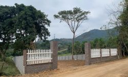 BÁN GẤP LÔ ĐẤT VIEW ĐẸP VUÔNG VẮN CÓ DT 1212m2 (400m2 ONT) BÁM ĐƯỜNG NHỰA CỰC ĐẸP