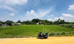 BÁN GẤP LÔ ĐẤT CÓ DIỆN TÍCH 163m2 FULL THỔ CƯ VIEW CÁNH ĐỒNG CỰC ĐẸP GIÁ CHỈ 300TR