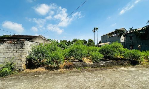 Bán gấp lô đất có diện tích 361m2 trong đó có 200m2 thổ cư còn lại là đất vườn ở khu TĐC Văn Mỹ thuộc xã Hoàng Văn Thụ, Chương Mỹ