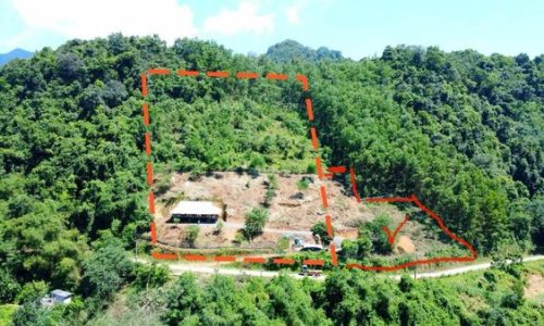 ???? CẦN BÁN LÔ ĐẤT lô đất có diện tích diện tích hơn 1ha