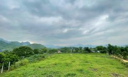 Bán gấp lô đất có diện tích 3132m2 trong đó có 2000m2 thổ cư còn lại là đất cây lâu năm