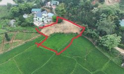 BÁN GẤP LÔ ĐẤT VIEW CÁNH ĐỒNG CỰC ĐỈNH CÓ DIỆN TÍCH 920m2 GIÁ CHỈ 2,x TỶ Ở HÒA SƠN