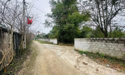 ♻️ Chính chủ cần tiền gửi em bán gấp lô đất có diện tích 1278m2 trong đó có 200m2 thổ cư