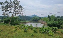 Bán lô góc 1900m² full thổ cư, view hồ đẹp – Kim Bôi, Hòa Bình