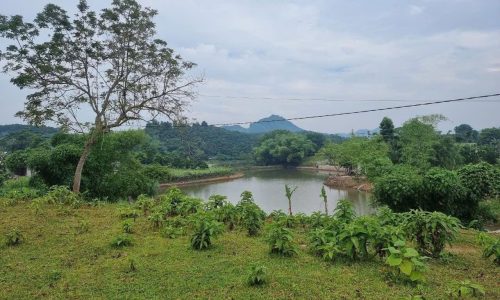 Bán lô góc 1900m² full thổ cư, view hồ đẹp – Kim Bôi, Hòa Bình