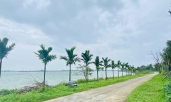 BÁN LÔ ĐẤT VIEW SÔNG THU BỒN – NGẮM TRỌN PHỐ CỔ HỘI AN- 130m2 giá 1 tỷ 0xx