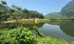 HOT! BÁN GẤP 5.508M² VIEW HỒ SIÊU ĐẸP – 400M² THỔ CƯ – ĐẤT ĐÚ SÁNG, KIM BÔI, HÒA BÌNH