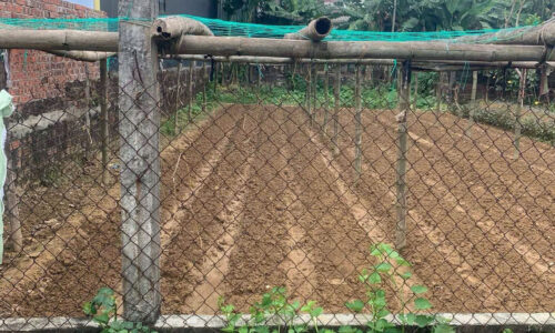 BÁN LÔ ĐẤT GIÁ TỐT – CẤU LÂU ĐÔNG,DUY PHƯỚC -SẴN SỔ