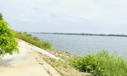 MỞ BÁN 5 LÔ ĐẤT LIỀN KỀ VỊ TRÍ VÀNG – SÁT HỘI AN- GẦN SÔNG THOÁNG MÁT-  GIÁ CHỈ TỪ 4xx triệu