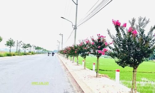 🌟 CƠ HỘI SỞ HỮU 5 LÔ ĐẤT NỀN SÁT HỘI AN – ĐÀ NẴNG MỚI – GIÁ CHỈ TỪ 530 TRIỆU/1 LÔ🌟