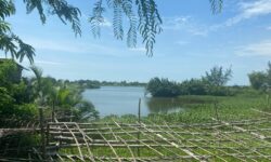 Đất Duy Vinh- Gần Hội An- View Sông 160m2 nở hậu Đường 5m- Giá chỉ từ 730 triệu