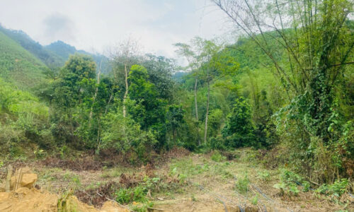 🌿 BÁN LÔ ĐẤT VIEW ĐẸP – GIÁ TỐT TẠI KIM BÔI – HÒA BÌNH 🌿