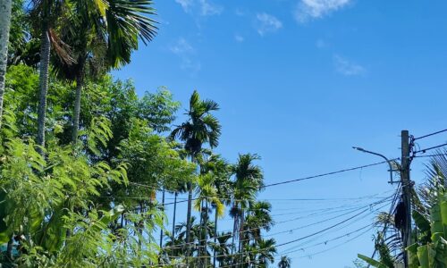 Chỉ từ 5tr/m2 sở hữu ngay 148m2 nằm gần sông – Thuộc Duy Vinh – Đường ô tô.