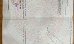 🤣 Đất Dứng Ổi – Kim Bôi: Mua là Lời, Đừng Ngại Vợ! 🤣