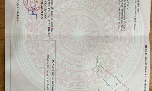 🤣 Đất Dứng Ổi – Kim Bôi: Mua là Lời, Đừng Ngại Vợ! 🤣