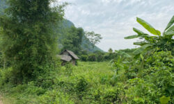 📌 BÁN LÔ ĐẤT CỰC ĐẸP – BÁM SUỐI – GẦN QL 12B – KIM BÔI, HÒA BÌNH