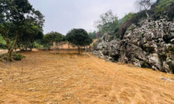 BÁN LÔ ĐẤT “VỪA ĐẸP VỪA CHẤT” GẦN SÂN GÔN PHƯỢNG HOÀNG – KHÓ TÌM NHƯ NGƯỜI YÊU CŨ MÀ VẪN ĐỘC THÂN! 😆