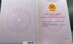 📢 CHÍNH CHỦ BÁN ĐẤT NGHỈ DƯỠNG VIEW CÁNH ĐỒNG BÁT NGÁT – CUỐI HẠ, KIM BÔI, HÒA BÌNH 🌾🌿