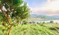 BÁN GẤP LÔ ĐẤT VIEW HỒ CẠN THƯƠNG