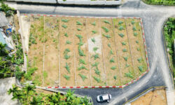 ĐÓN ĐẦU HẠ TẦNG MỚI: CẦU SỐ 6 ĐT445 CAO TỐC! MỞ BÁN ĐẤT TẠI KỲ SƠN, HOÀ BÌNH