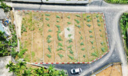 💎 Chỉ hơn 5tr/m – có ngay đất view sông Đà tại Kỳ Sơn, Hoà Bình