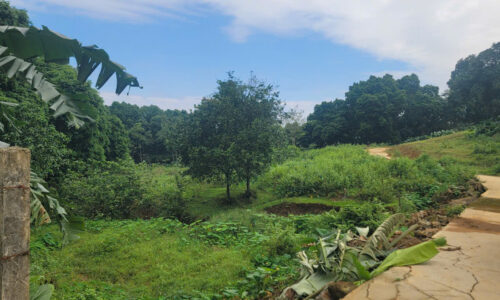 🔥💥 SIÊU PHẨM 4,4HA VIEW ĐỒI CỰC ĐẸP – LƯƠNG SƠN, HÒA BÌNH