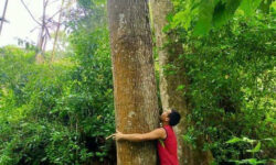 🌿 BÁN LÔ ĐẤT VIEW ĐẸP – GIÁ TỐT TẠI KIM BÔI – HÒA BÌNH 🌿