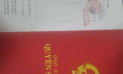 🔥 BÁN 4000M² ĐẤT ĐẸP – CÓ 400M² THỔ CƯ – TÂN HÒA, HÒA SƠN, LƯƠNG SƠN 🔥