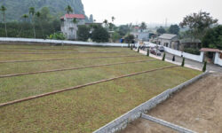 Bất Động Sản Hoà Bình -Phú Thọ