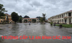 🔥 MỞ BÁN GIÁ SỐC – ĐẤT TRUNG TÂM AN BÌNH CHỈ 195 TRIỆU/LÔ