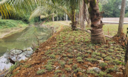 100tr nhận ngay 1 chỉ vàng tại Kim Bôi