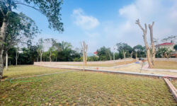 Bất Động Sản Hoà Bình -Phú Thọ