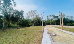 ⚡ Hơn 300tr Sở Hữu Đất Kim Bôi, Hoà Bình – Vị Trí Đẹp, Pháp Lý Chuẩn