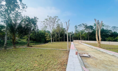 ⚡ Hơn 300tr Sở Hữu Đất Kim Bôi, Hoà Bình – Vị Trí Đẹp, Pháp Lý Chuẩn