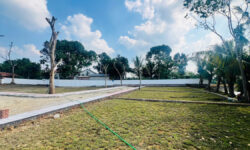 355tr- Có ngay đất thổ cư sổ đỏ trao tay và còn được trao tay 1 chỉ vàng