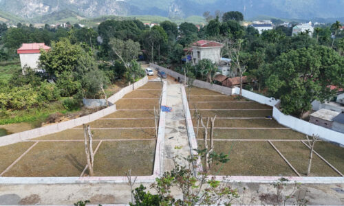 Cọc 100tr nhận ngay 1 chỉ vàng tại dự án Kim Bôi