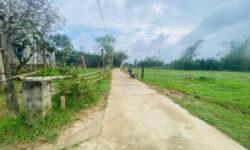 LÔ ĐẤT 115m²  NẰM GIÁP HỘI AN – SỔ SẴN – GIÁ CHỈ 590TR.