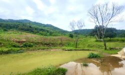 🚨 “HÀNG HIẾM” LƯƠNG SƠN: QUỸ ĐẤT 4,4 HÉC-TA – PHÁP LÝ CHUẨN – GIÁ TẬN GỐC 🚨