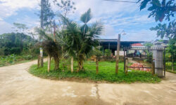 🔥 LÔ ĐẤT  NẰM GẦN TRƯỜNG TH DUY THÀNH – VỊ TRÍ ĐẸP – GIÁ 6xx -SẴN SỔ 🔥