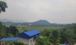 🔥 “MỎ VÀNG” KIM BÔI – ĐÓN ĐẦU SIÊU DỰ ÁN SUN GROUP – CHỈ 1 LÔ DUY NHẤT!