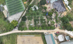 🔥 MỞ BÁN 5 LÔ ĐẤT TÂN VINH – LƯƠNG SƠN 🔥